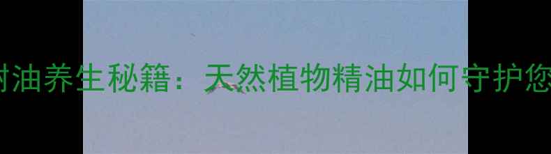 图片 新加坡白树油养生秘籍：天然植物精油如何守护您的健康？2