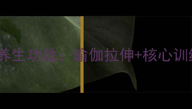 图片 星星棒折叠方法与养生功效：瑜伽拉伸+核心训练的居家塑形指南1