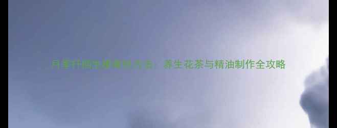 图片 月季扦插生根最快方法：养生花茶与精油制作全攻略