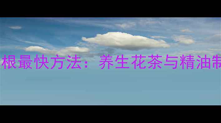 图片 月季扦插生根最快方法：养生花茶与精油制作全攻略1