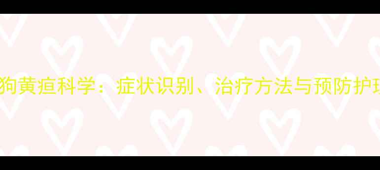 图片 权威指南狗黄疸科学：症状识别、治疗方法与预防护理全攻略1
