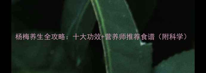 图片 杨梅养生全攻略：十大功效+营养师推荐食谱（附科学）