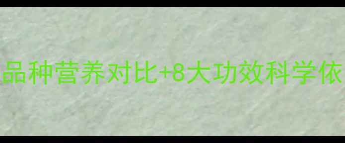 图片 枣的养生全：6大品种营养对比+8大功效科学依据+3大食用禁忌1