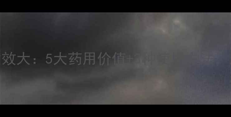 图片 栀子花养生功效大：5大药用价值+3种使用方法，助你健康度夏