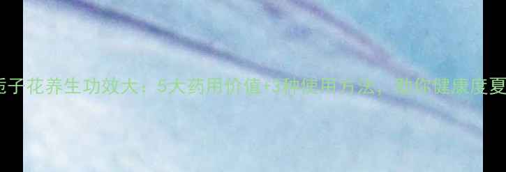 图片 栀子花养生功效大：5大药用价值+3种使用方法，助你健康度夏1