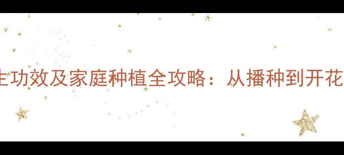 图片 梦香兰养生功效及家庭种植全攻略：从播种到开花养护指南2