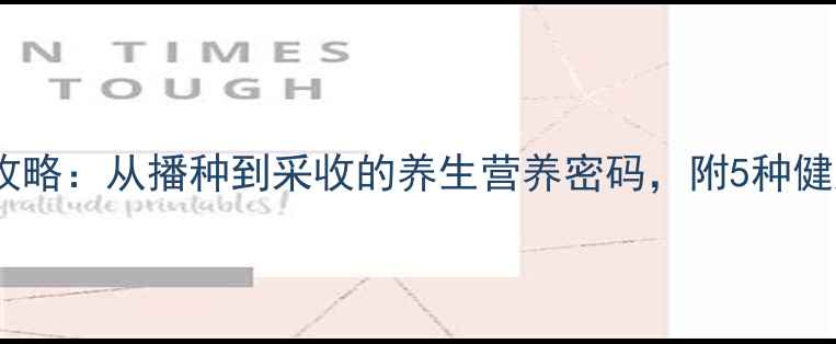 图片 毛豆种植全攻略：从播种到采收的养生营养密码，附5种健康食谱搭配1