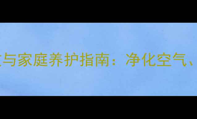图片 水养马蹄莲的养生功效与家庭养护指南：净化空气、安神助眠的天然疗法2