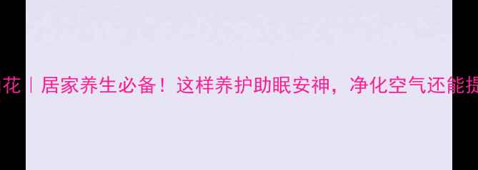图片 水培水仙花｜居家养生必备！这样养护助眠安神，净化空气还能提升运势1