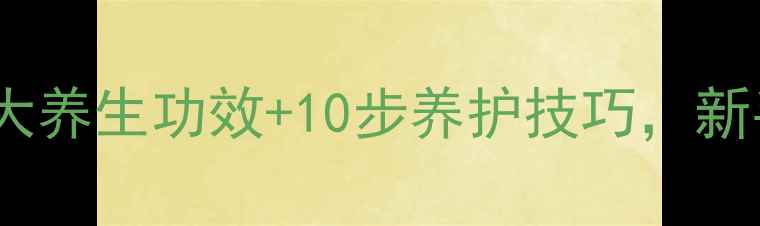 图片 水培玫瑰养殖全攻略：5大养生功效+10步养护技巧，新手也能轻松养出娇艳花朵