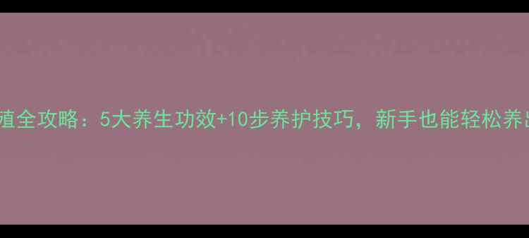图片 水培玫瑰养殖全攻略：5大养生功效+10步养护技巧，新手也能轻松养出娇艳花朵1