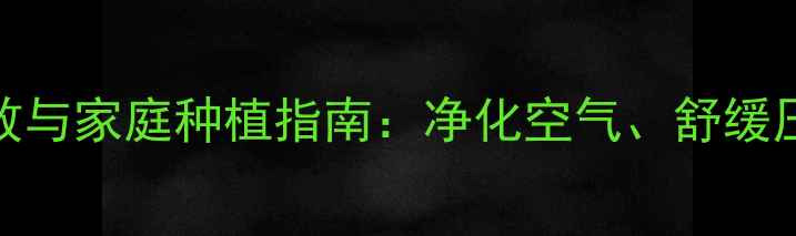图片 水培睡莲的养生功效与家庭种植指南：净化空气、舒缓压力的天然疗愈方案