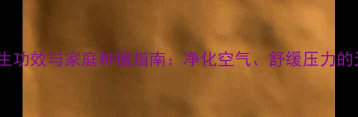 图片 水培睡莲的养生功效与家庭种植指南：净化空气、舒缓压力的天然疗愈方案1