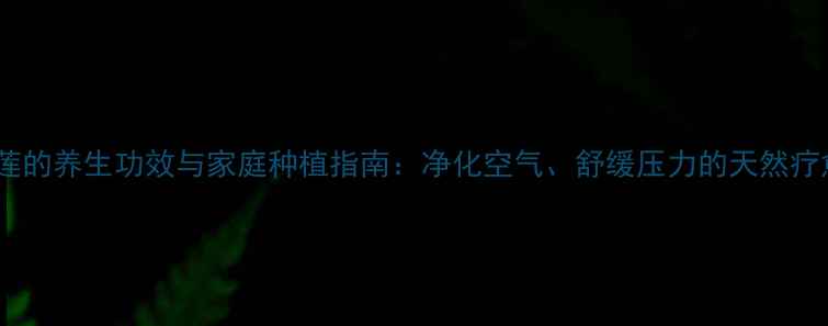 图片 水培睡莲的养生功效与家庭种植指南：净化空气、舒缓压力的天然疗愈方案2
