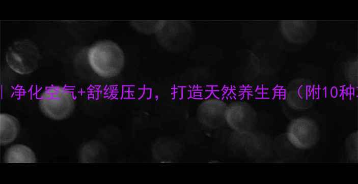 图片 水培鲜花养殖全攻略｜净化空气+舒缓压力，打造天然养生角（附10种功效花单+避坑指南）