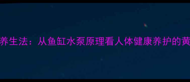 图片 水循环养生法：从鱼缸水泵原理看人体健康养护的黄金法则