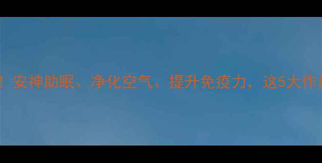 图片 沉香线香养生功效大！安神助眠、净化空气、提升免疫力，这5大作用让健康更上一层楼1