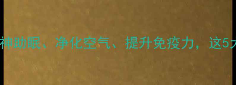 图片 沉香线香养生功效大！安神助眠、净化空气、提升免疫力，这5大作用让健康更上一层楼2