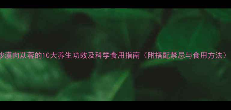 图片 沙漠肉苁蓉的10大养生功效及科学食用指南（附搭配禁忌与食用方法）1
