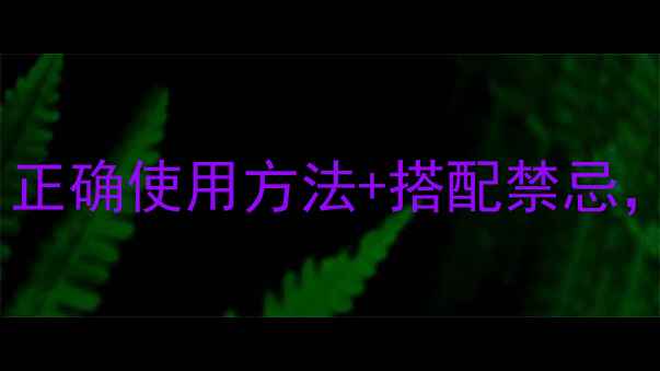 图片 洋铁叶养生全攻略：正确使用方法+搭配禁忌，解锁天然健康密码1
