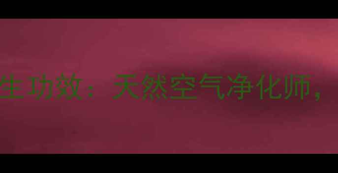 图片 活性炭的5大养生功效：天然空气净化师，守护全家健康2