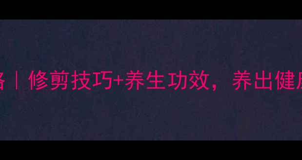 图片 海棠花修剪全攻略｜修剪技巧+养生功效，养出健康花木与活力生活