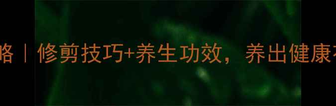 图片 海棠花修剪全攻略｜修剪技巧+养生功效，养出健康花木与活力生活1