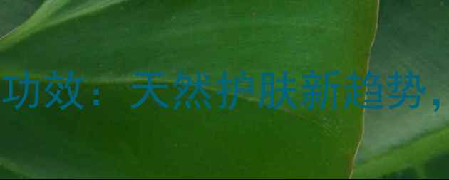 图片 海藻面膜粉的7大功效：天然护肤新趋势，解锁健康肌密码