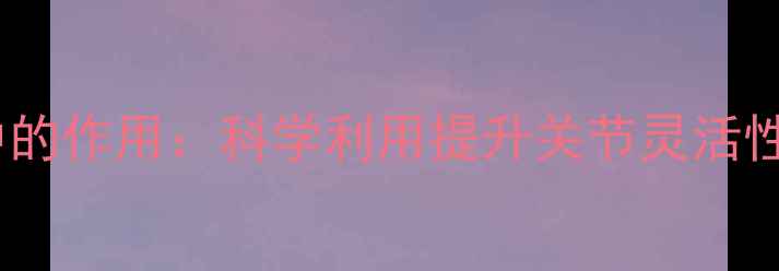 图片 滑轮在养生中的作用：科学利用提升关节灵活性与肌肉耐力2