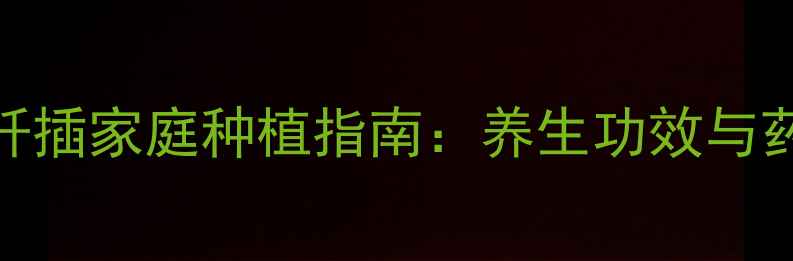 图片 火棘硬枝扦插家庭种植指南：养生功效与药用价值全