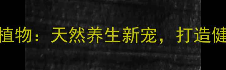 图片 熊童子多肉植物：天然养生新宠，打造健康生活空间