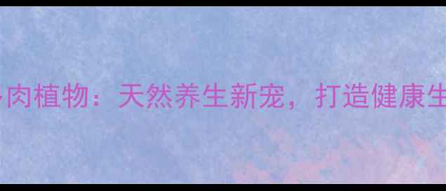 图片 熊童子多肉植物：天然养生新宠，打造健康生活空间1
