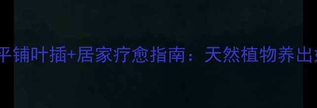 图片 熊童子平铺叶插+居家疗愈指南：天然植物养出好气色1