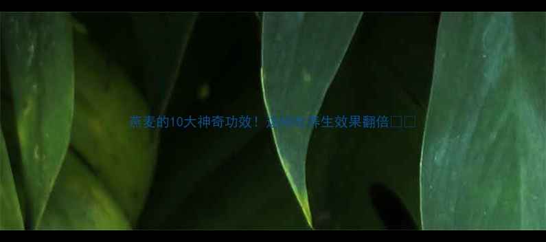 图片 燕麦的10大神奇功效！这样吃养生效果翻倍🌾✨