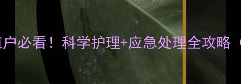 图片 牛子宫脱垂养殖户必看！科学护理+应急处理全攻略（附成本对比）1