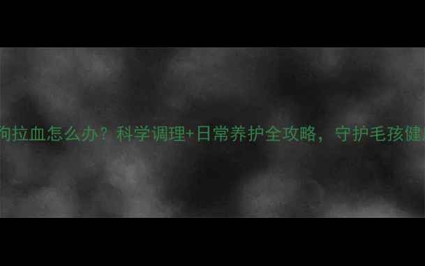 图片 狗狗拉血怎么办？科学调理+日常养护全攻略，守护毛孩健康1