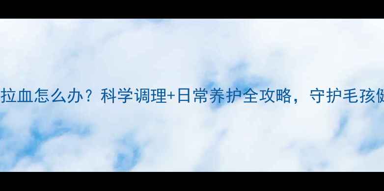 图片 狗狗拉血怎么办？科学调理+日常养护全攻略，守护毛孩健康2