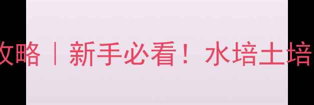 图片 玉珊瑚家庭养护全攻略｜新手必看！水培土培繁殖技巧大公开✨2