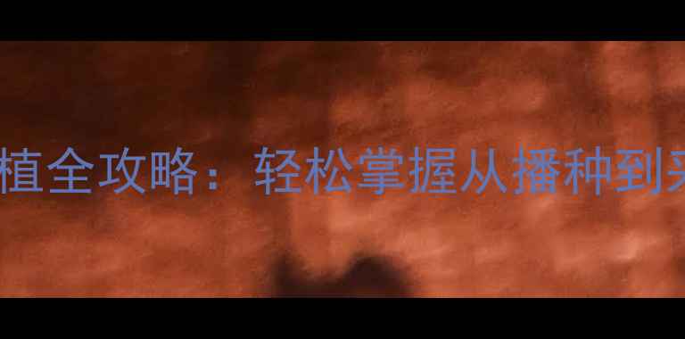 图片 珍珠芦荟家庭养生种植全攻略：轻松掌握从播种到采收的12个关键步骤1