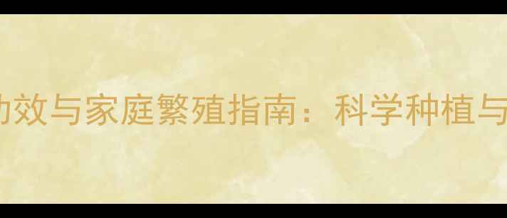 图片 球兰的养生功效与家庭繁殖指南：科学种植与保健应用全1