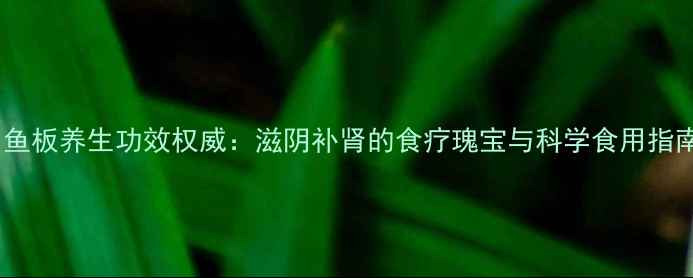 图片 甲鱼板养生功效权威：滋阴补肾的食疗瑰宝与科学食用指南2