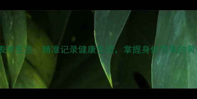图片 电子停表养生法：精准记录健康生活，掌握身体节奏的黄金法则1