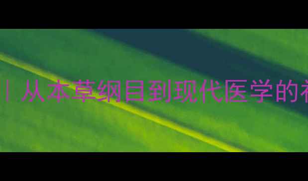 图片 男性养生必读｜从本草纲目到现代医学的补肾养肾指南2