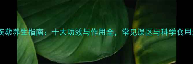 图片 白疾藜养生指南：十大功效与作用全，常见误区与科学食用法1