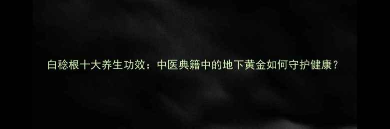 图片 白稔根十大养生功效：中医典籍中的地下黄金如何守护健康？