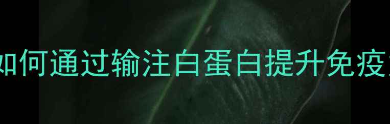图片 白蛋白输液在养生中的科学应用：如何通过输注白蛋白提升免疫力、促进术后恢复及改善营养缺乏2