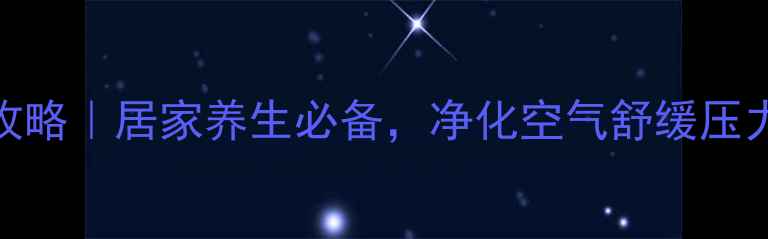 图片 百日草种植全攻略｜居家养生必备，净化空气舒缓压力的天然小能手
