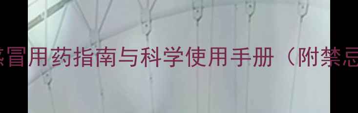 图片 百服宁成分：感冒用药指南与科学使用手册（附禁忌与搭配建议）2