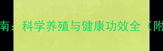 图片 盆栽月季花养生指南：科学养殖与健康功效全（附120天养护日历）1