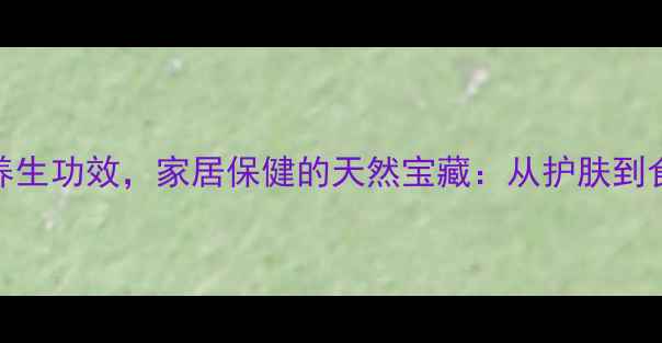 图片 盆栽芦荟的7大养生功效，家居保健的天然宝藏：从护肤到食疗的实用指南1